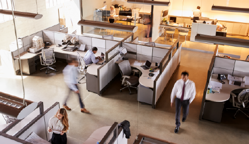 Small and Medium Enterprises